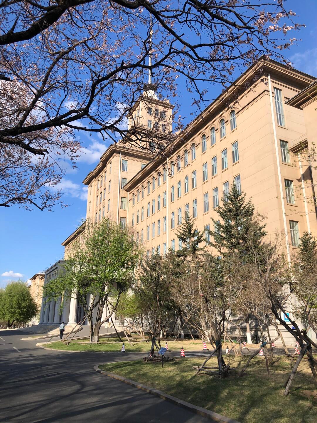Winter Camp Harbin